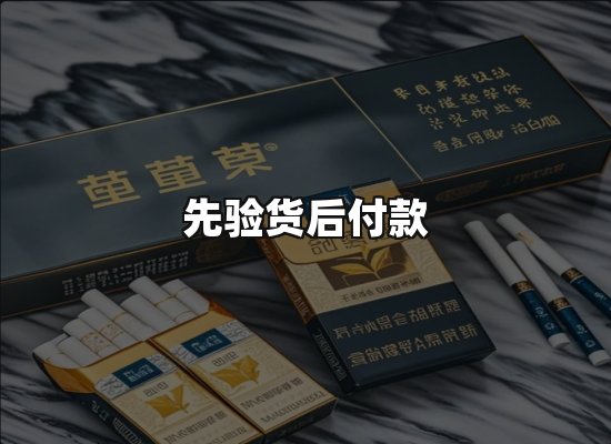 专业优势